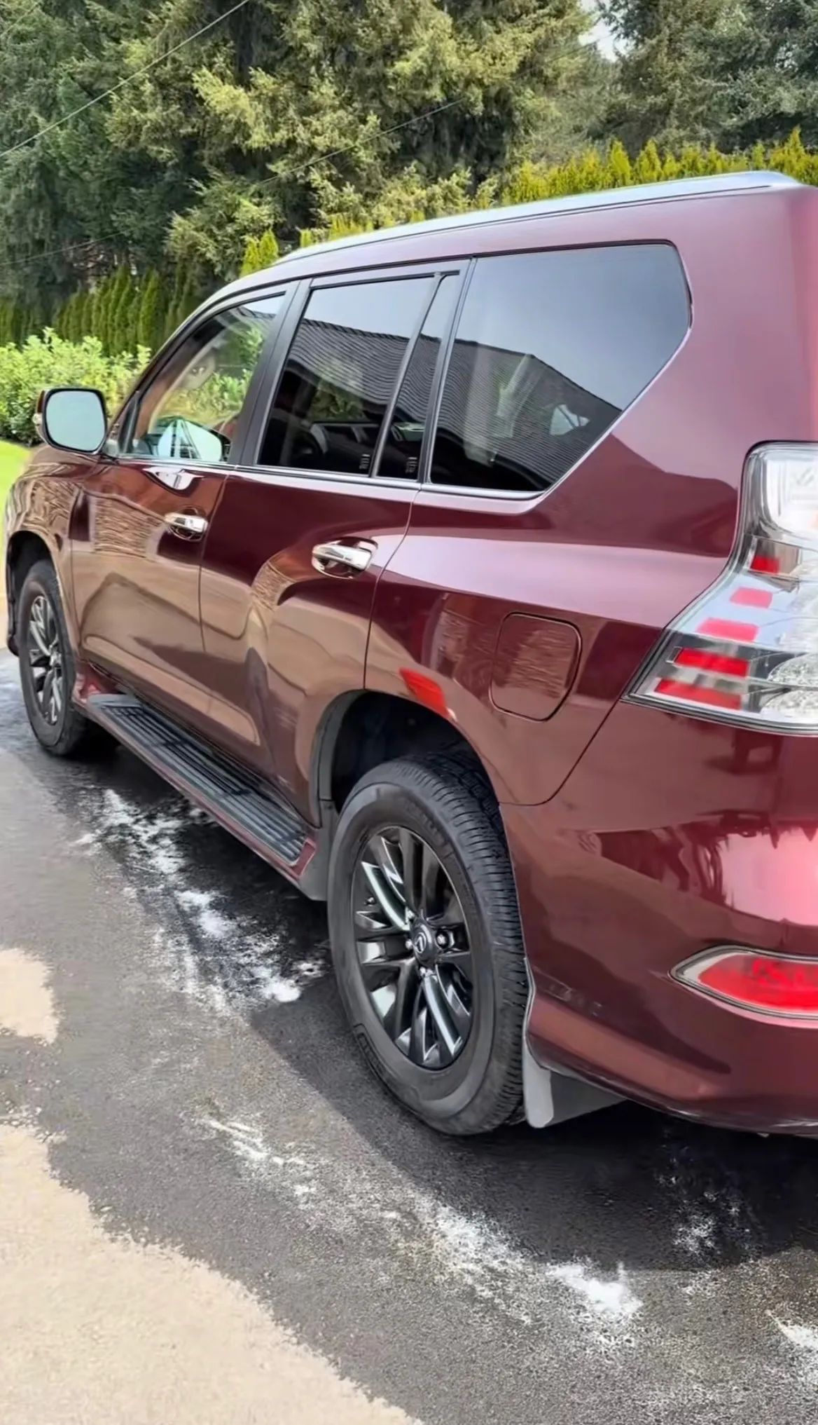 Lexus GX rear quarter washed to a glossy finish after detailing